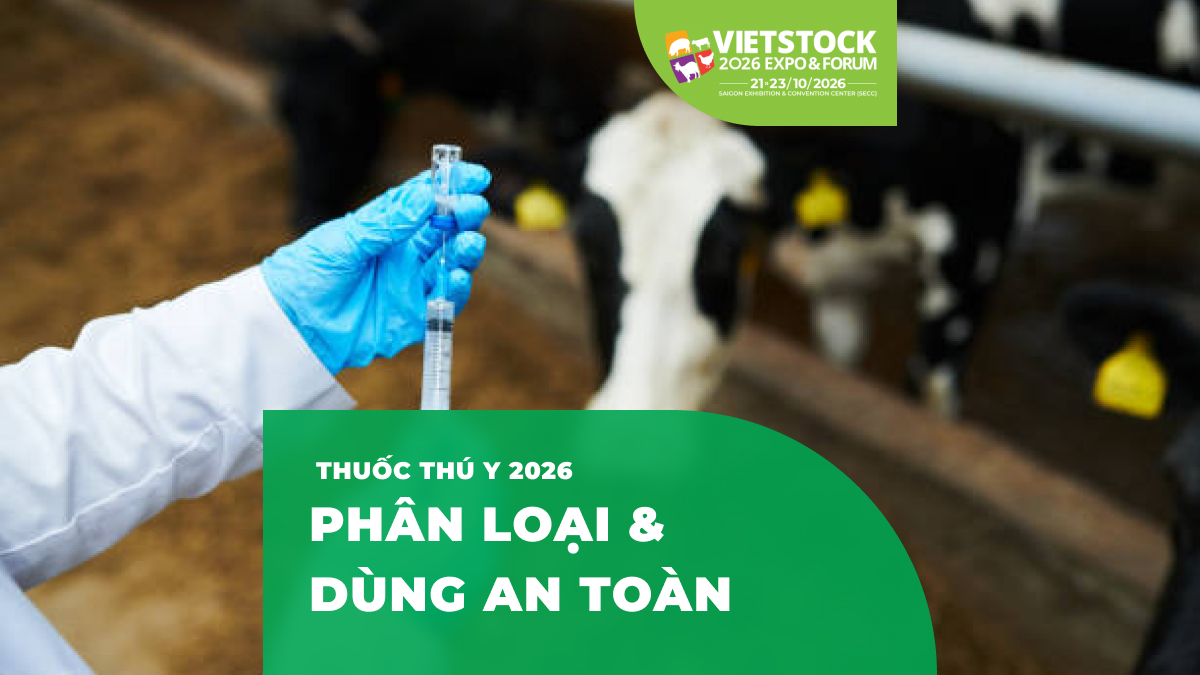 Thuốc Thú Y trong chăn nuôi 2026: Phân Loại & Cách Dùng An Toàn